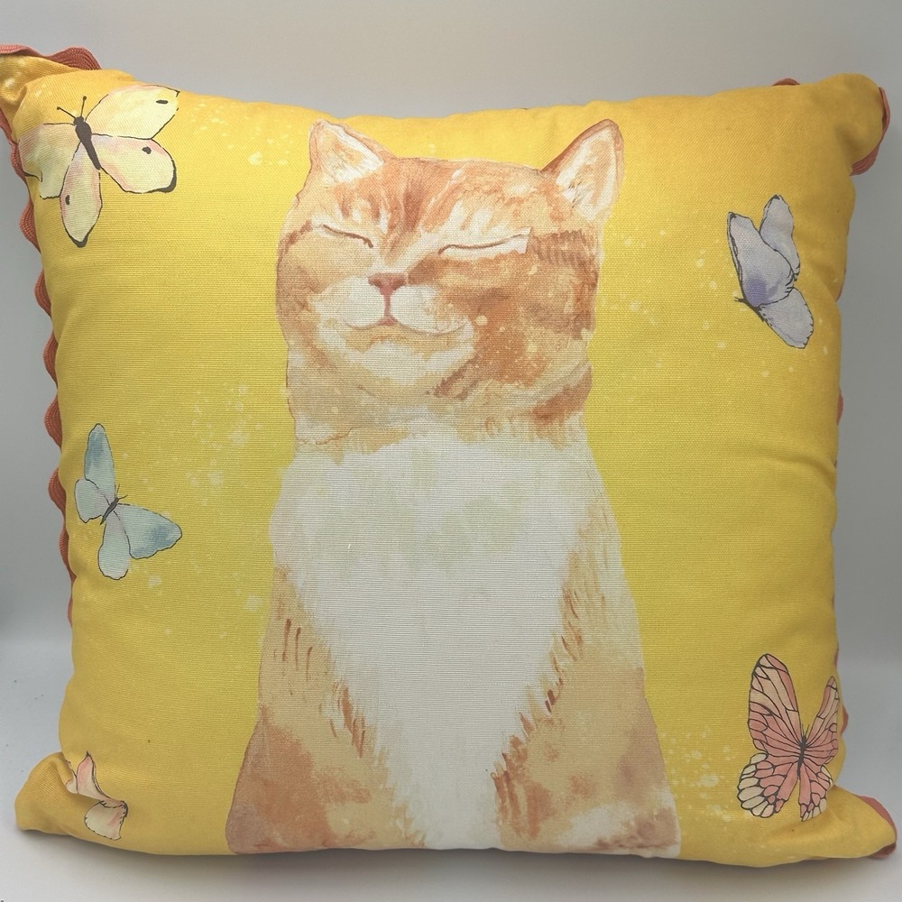 Pioneer Woman Decorative Throw Pillow, Orange Cat butterfly 18" x 18" Rare Find